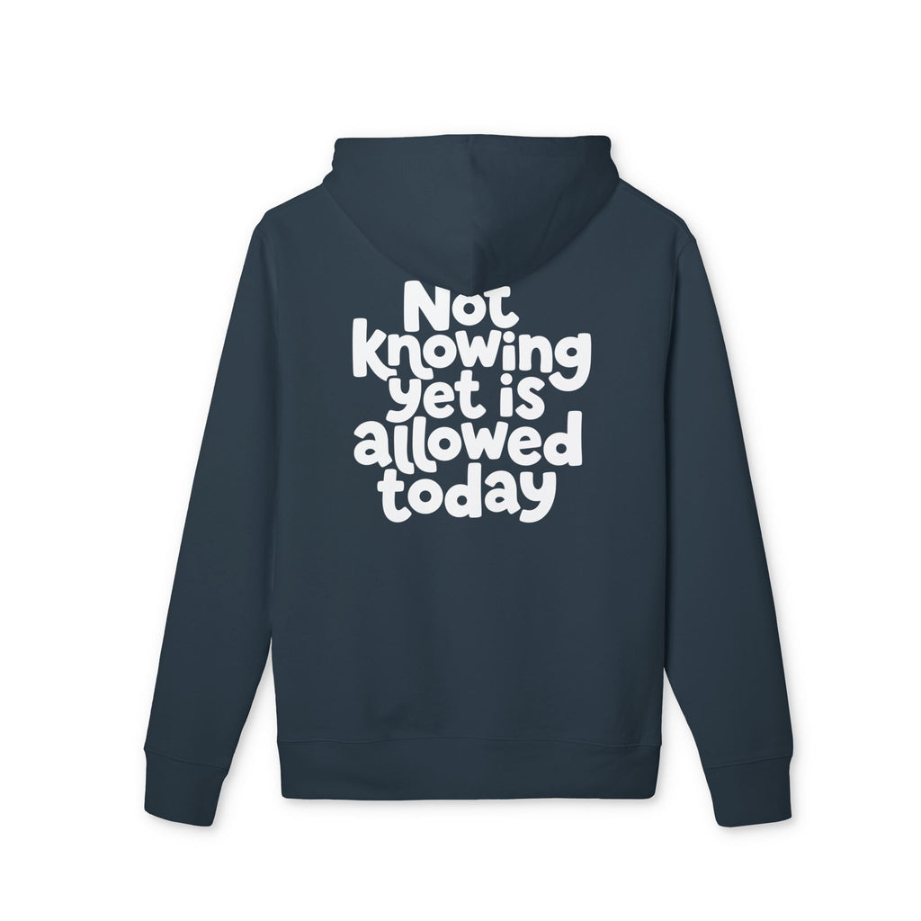 Allowed Today — Oversized Aesthetic Hoodie