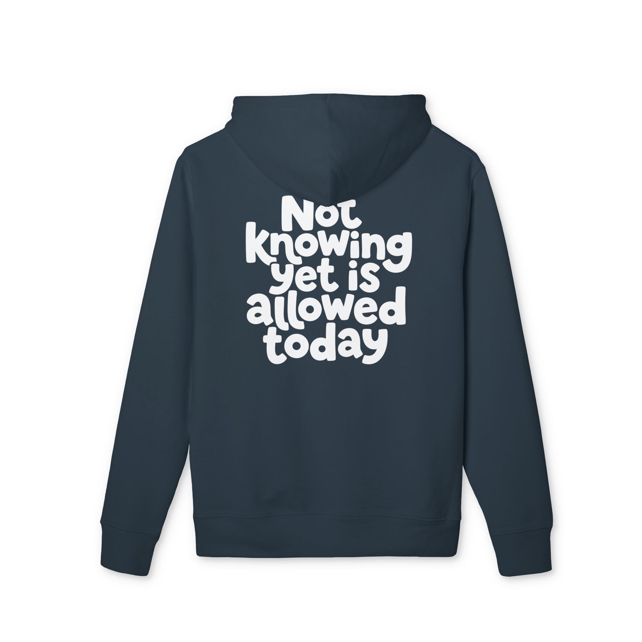 Allowed Today — Oversized Aesthetic Hoodie