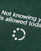 Not Knowing Yet Hoodie — Wonderwall Relaxed Collection
