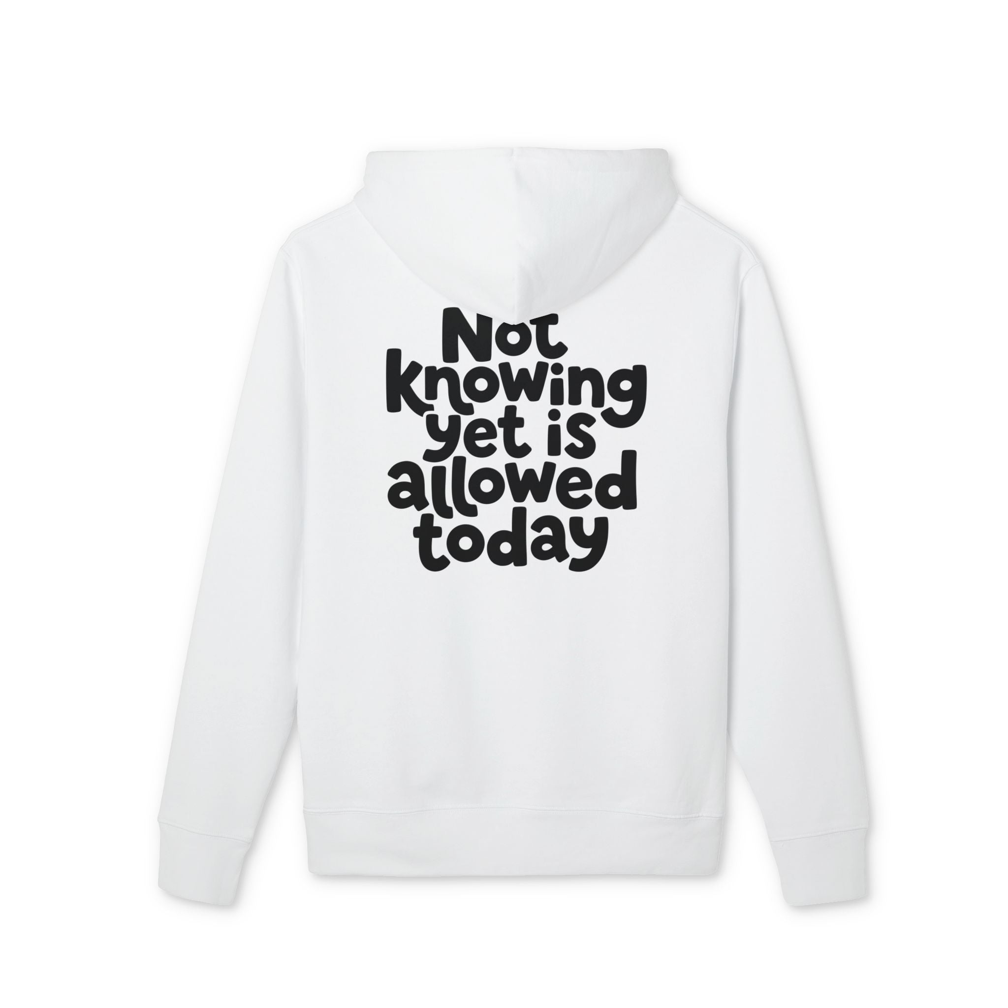 Allowed Today — Oversized Aesthetic Hoodie