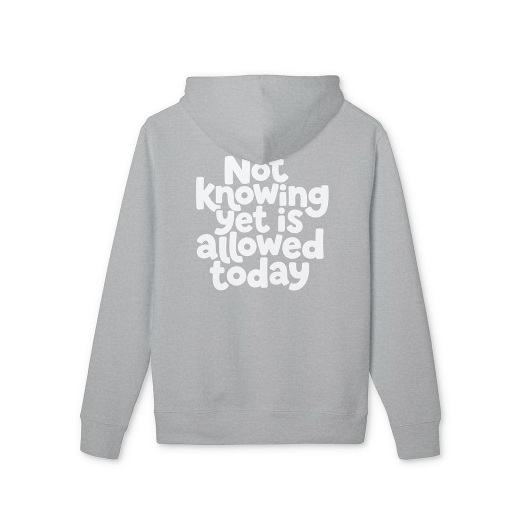 Allowed Today — Oversized Aesthetic Hoodie