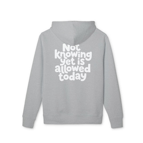 Allowed Today — Oversized Aesthetic Hoodie