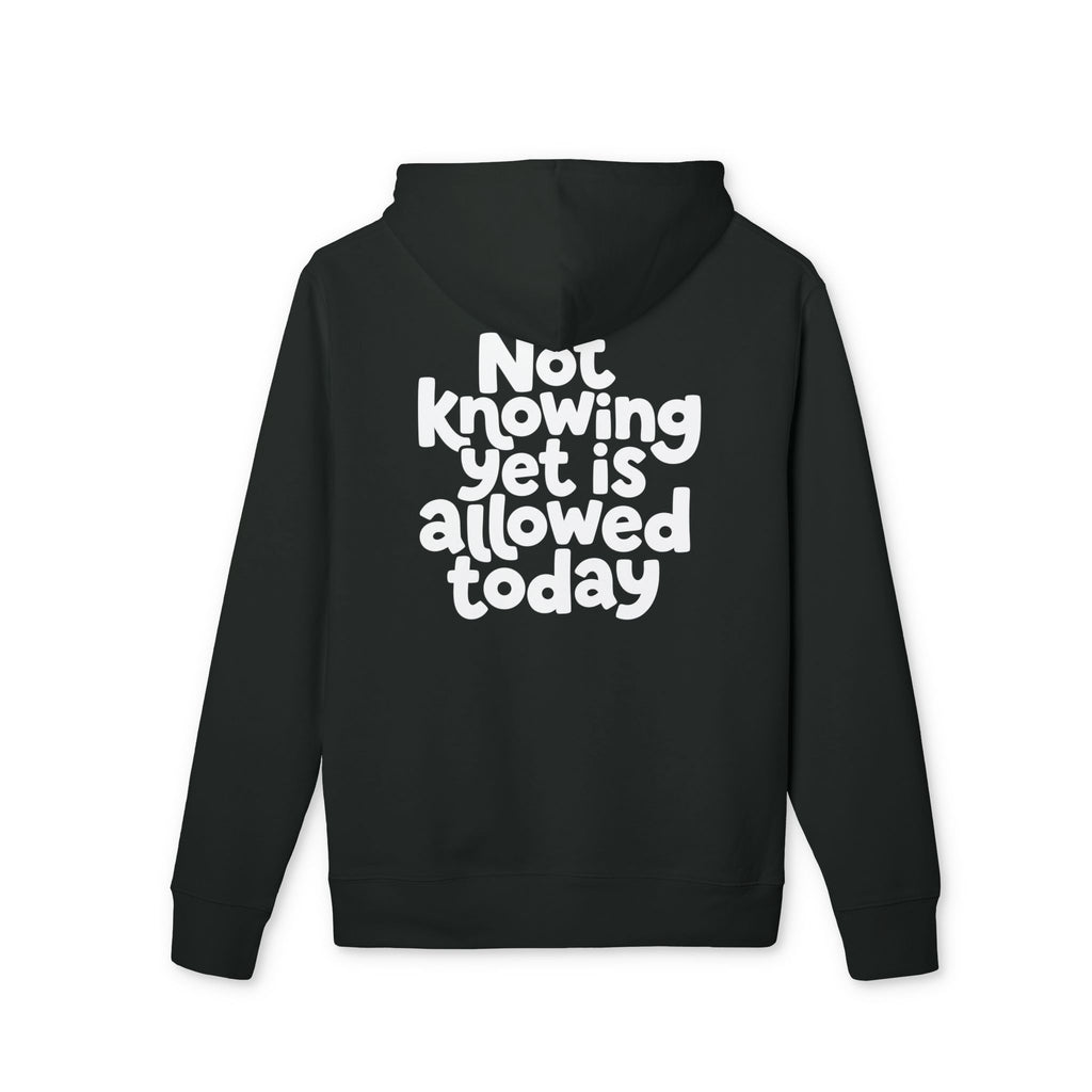 Allowed Today — Oversized Aesthetic Hoodie