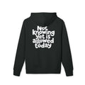 Allowed Today — Oversized Aesthetic Hoodie